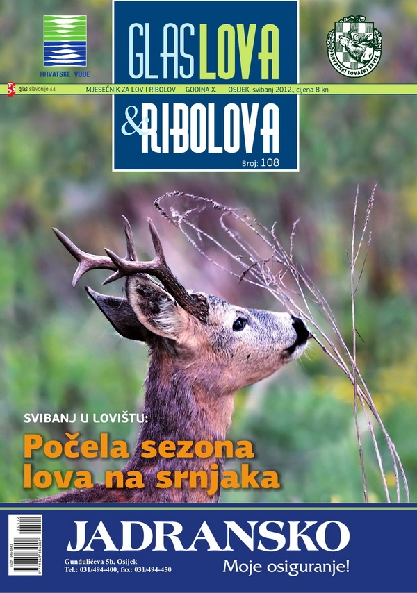 GLAS LOVA : Počela sezona lova na srnjaka