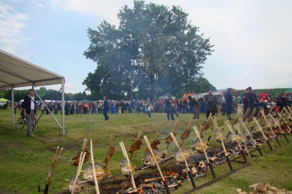 Osijek: Dani vina i turizma